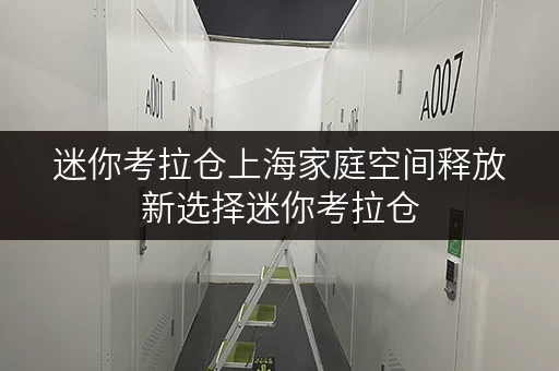 迷你考拉仓上海家庭空间释放新选择迷你考拉仓,品质生活从此无忧_1 迷你考拉仓上海家庭空间释放新选择迷你考拉仓,品质生活从此无忧_1