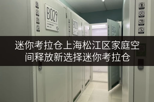 迷你考拉仓上海松江区家庭空间释放新选择迷你考拉仓,品质生活从此无忧 迷你考拉仓上海松江区家庭空间释放新选择迷你考拉仓,品质生活从此无忧