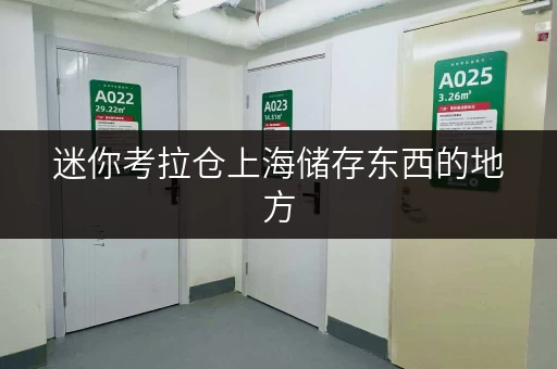 迷你考拉仓上海储存东西的地方,揭秘省钱技巧与价格透明攻略 迷你考拉仓上海储存东西的地方,揭秘省钱技巧与价格透明攻略