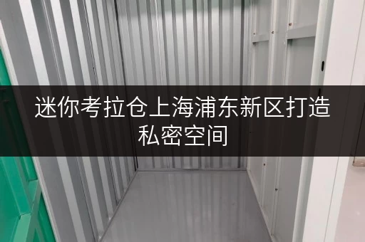 迷你考拉仓上海浦东新区打造私密空间，迷你考拉仓为您守护物品安全与温湿度平衡