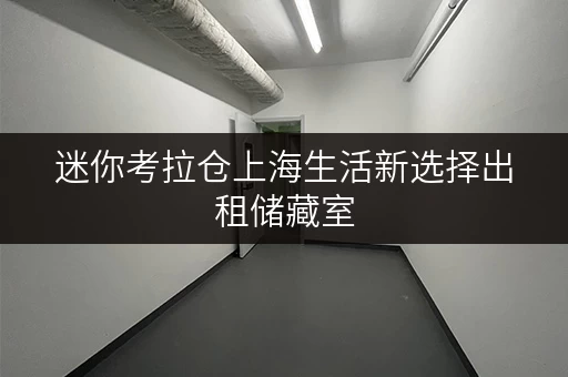 迷你考拉仓上海生活新选择出租储藏室,让设备工具随存随取更便捷 迷你考拉仓上海生活新选择出租储藏室,让设备工具随存随取更便捷