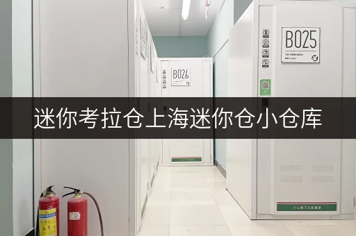 迷你考拉仓上海迷你仓小仓库，如何选择最合适的面积？