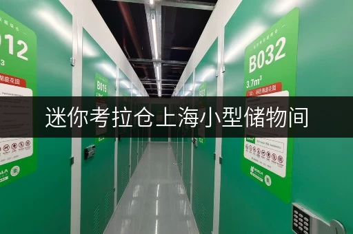 迷你考拉仓上海小型储物间，打造家庭空间新格局