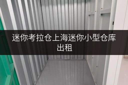 迷你考拉仓上海迷你小型仓库出租,解锁家庭空间新境界 迷你考拉仓上海迷你小型仓库出租,解锁家庭空间新境界