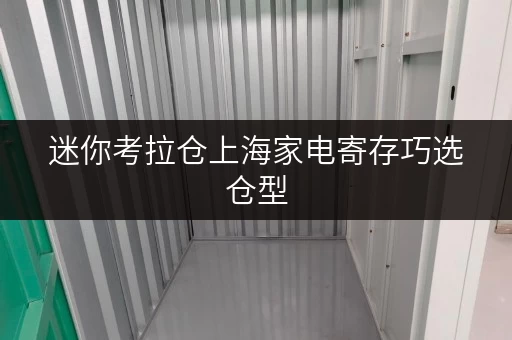 迷你考拉仓上海家电寄存巧选仓型,让家电“安家”无忧 迷你考拉仓上海家电寄存巧选仓型,让家电“安家”无忧