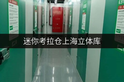 迷你考拉仓上海立体库,揭秘空间利用的智慧选择 迷你考拉仓上海立体库,揭秘空间利用的智慧选择