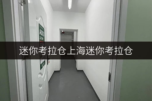 迷你考拉仓上海迷你考拉仓，租金透明，安全无忧
