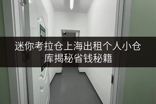 迷你考拉仓上海出租个人小仓库揭秘省钱秘籍，让存储不再负担！