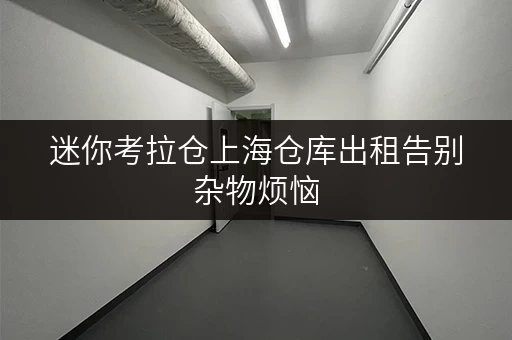 迷你考拉仓上海仓库出租告别杂物烦恼,迷你考拉仓为您打造省心存储方案 迷你考拉仓上海仓库出租告别杂物烦恼,迷你考拉仓为您打造省心存储方案