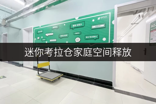 迷你考拉仓家庭空间释放，品质生活新选择——上海迷你考拉仓寄存全攻略