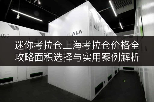 迷你考拉仓上海考拉仓价格全攻略面积选择与实用案例解析