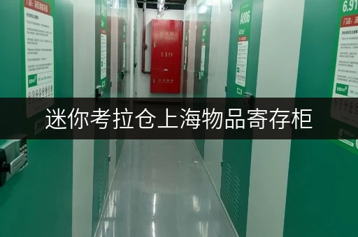 迷你考拉仓上海物品寄存柜，揭秘省钱秘籍，告别存储烦恼！