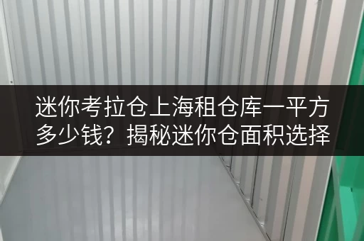 迷你考拉仓上海租仓库一平方多少钱?揭秘迷你仓面积选择与实用案例 迷你考拉仓上海租仓库一平方多少钱?揭秘迷你仓面积选择与实用案例
