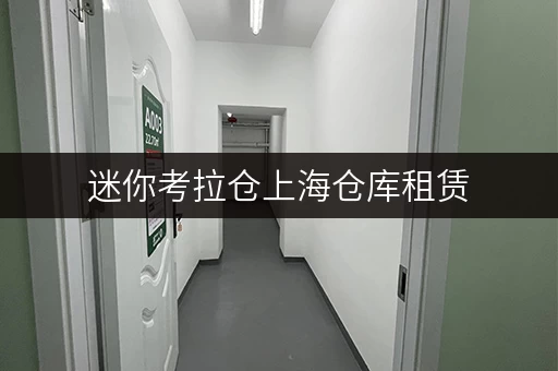 迷你考拉仓上海仓库租赁,便捷存储不求人,价格透明全攻略 迷你考拉仓上海仓库租赁,便捷存储不求人,价格透明全攻略
