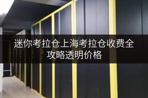 迷你考拉仓上海考拉仓收费全攻略透明价格,省钱技巧大公开! 迷你考拉仓上海考拉仓收费全攻略透明价格,省钱技巧大公开!