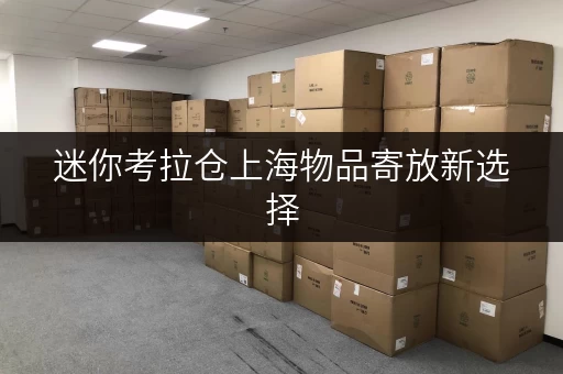 迷你考拉仓上海物品寄放新选择，随存随取更便捷