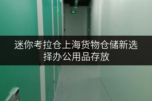 迷你考拉仓上海货物仓储新选择办公用品存放,释放办公空间全攻略 迷你考拉仓上海货物仓储新选择办公用品存放,释放办公空间全攻略