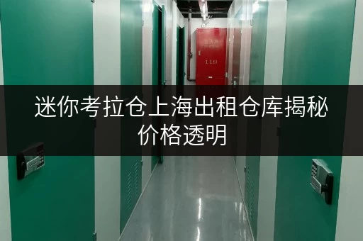 迷你考拉仓上海出租仓库揭秘价格透明,教你省钱秘籍! 迷你考拉仓上海出租仓库揭秘价格透明,教你省钱秘籍!