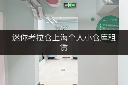 迷你考拉仓上海个人小仓库租赁,办公空间释放新境界 迷你考拉仓上海个人小仓库租赁,办公空间释放新境界