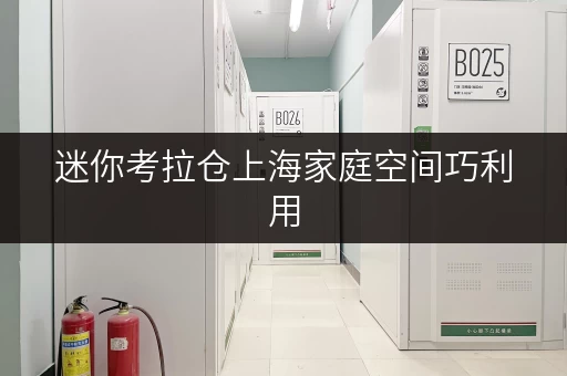 迷你考拉仓上海家庭空间巧利用,迷你考拉仓帮你轻松收纳! 迷你考拉仓上海家庭空间巧利用,迷你考拉仓帮你轻松收纳!