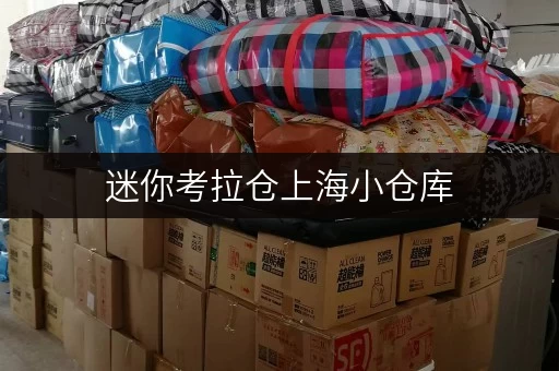 迷你考拉仓上海小仓库,安全与温湿监控,让您的物品安心“歇脚” 迷你考拉仓上海小仓库,安全与温湿监控,让您的物品安心“歇脚”