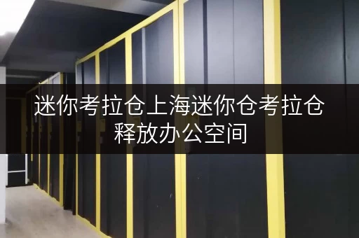 迷你考拉仓上海迷你仓考拉仓释放办公空间，让工作更高效