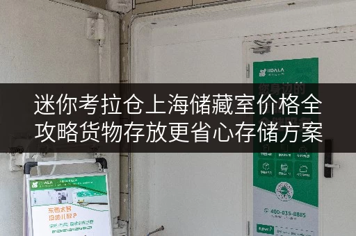 迷你考拉仓上海储藏室价格全攻略货物存放更省心存储方案 迷你考拉仓上海储藏室价格全攻略货物存放更省心存储方案