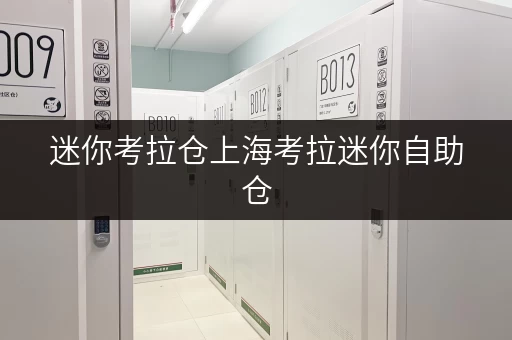 迷你考拉仓上海考拉迷你自助仓，存储新体验