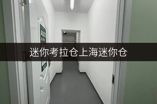 迷你考拉仓上海迷你仓，办公空间释放新选择——价位全解析