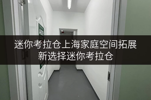 迷你考拉仓上海家庭空间拓展新选择迷你考拉仓，面积选择攻略全解析