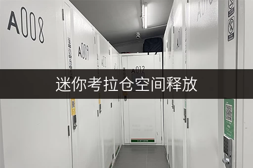 迷你考拉仓空间释放,品质升级上海公司仓储新选择 迷你考拉仓空间释放,品质升级上海公司仓储新选择