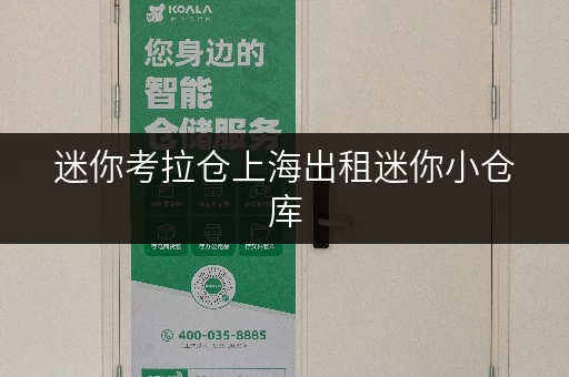 迷你考拉仓上海出租迷你小仓库,安全与温湿监控,守护您的每一件宝贝 迷你考拉仓上海出租迷你小仓库,安全与温湿监控,守护您的每一件宝贝