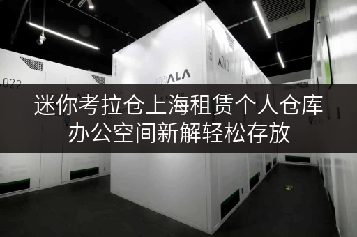 迷你考拉仓上海租赁个人仓库办公空间新解轻松存放,高效办公 迷你考拉仓上海租赁个人仓库办公空间新解轻松存放,高效办公