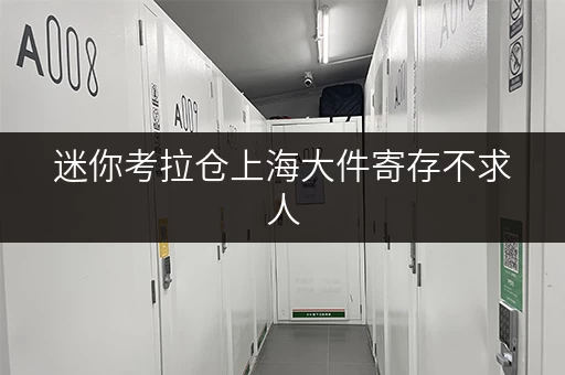 迷你考拉仓上海大件寄存不求人，省钱攻略全解析！