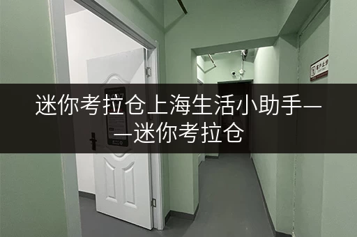 迷你考拉仓上海生活小助手——迷你考拉仓，工具设备随存随取更便捷