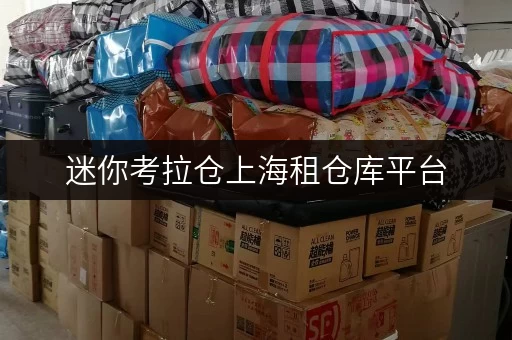 迷你考拉仓上海租仓库平台,随存随取,便捷生活新选择 迷你考拉仓上海租仓库平台,随存随取,便捷生活新选择