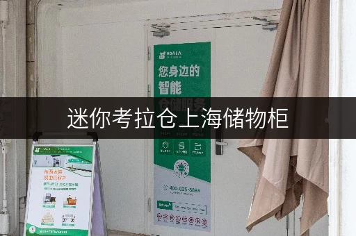 迷你考拉仓上海储物柜,搬家装修的“贴心小助手” 迷你考拉仓上海储物柜,搬家装修的“贴心小助手”