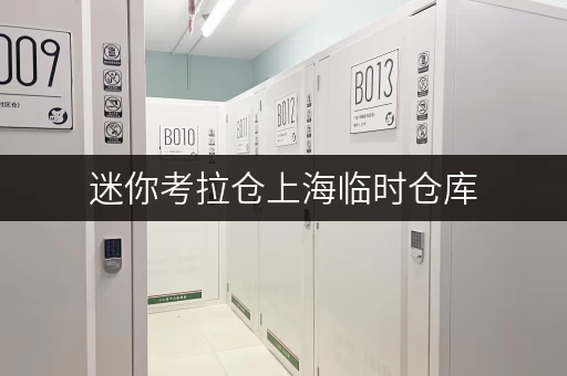 迷你考拉仓上海临时仓库,货物存放更省心存储方案 迷你考拉仓上海临时仓库,货物存放更省心存储方案