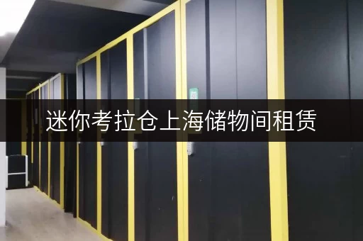 迷你考拉仓上海储物间租赁,随存随取,释放生活空间 迷你考拉仓上海储物间租赁,随存随取,释放生活空间