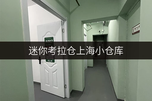 迷你考拉仓上海小仓库,存取无忧,全时段服务,尽享便捷生活 迷你考拉仓上海小仓库,存取无忧,全时段服务,尽享便捷生活