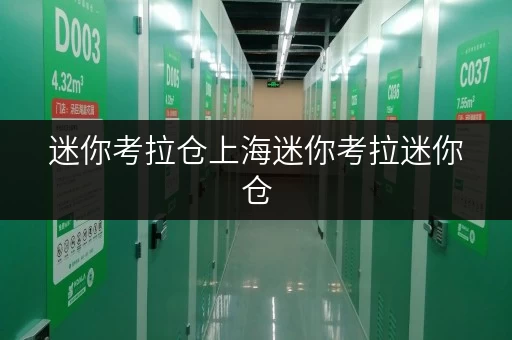 迷你考拉仓上海迷你考拉迷你仓,办公空间释放新思路 迷你考拉仓上海迷你考拉迷你仓,办公空间释放新思路