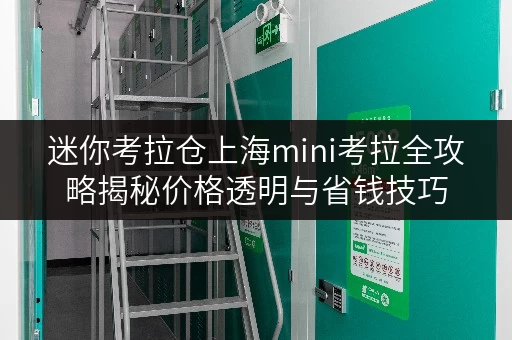 迷你考拉仓上海mini考拉全攻略揭秘价格透明与省钱技巧 迷你考拉仓上海mini考拉全攻略揭秘价格透明与省钱技巧