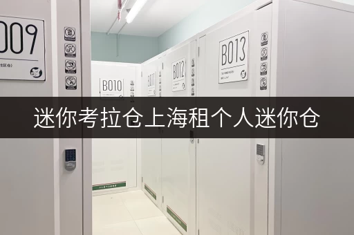 迷你考拉仓上海租个人迷你仓，存取无忧，全时段服务