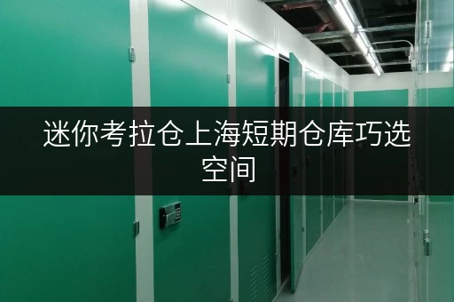 迷你考拉仓上海短期仓库巧选空间,轻松应对短期存储需求 迷你考拉仓上海短期仓库巧选空间,轻松应对短期存储需求
