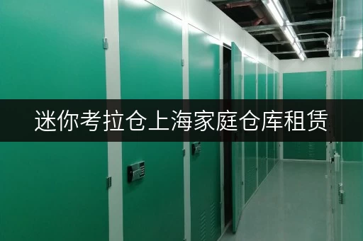 迷你考拉仓上海家庭仓库租赁,安全与温湿监控,让您的物品安心“安家” 迷你考拉仓上海家庭仓库租赁,安全与温湿监控,让您的物品安心“安家”