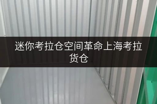 迷你考拉仓空间革命上海考拉货仓，为您的家腾出高品质生活空间