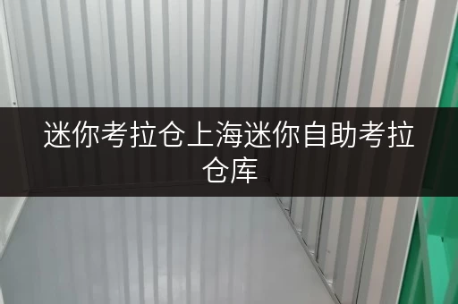 迷你考拉仓上海迷你自助考拉仓库,面积选择全攻略 迷你考拉仓上海迷你自助考拉仓库,面积选择全攻略