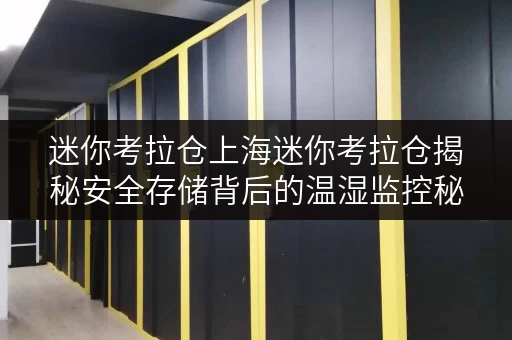 迷你考拉仓上海迷你考拉仓揭秘安全存储背后的温湿监控秘籍 迷你考拉仓上海迷你考拉仓揭秘安全存储背后的温湿监控秘籍