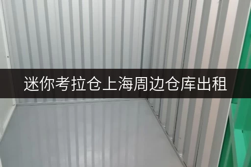 迷你考拉仓上海周边仓库出租,存取便利,全天候服务,轻松解决您的存储需求 迷你考拉仓上海周边仓库出租,存取便利,全天候服务,轻松解决您的存储需求