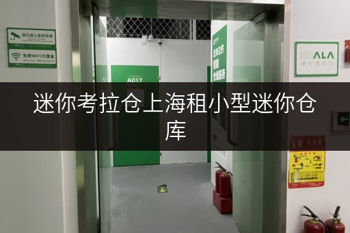 迷你考拉仓上海租小型迷你仓库,安全与温湿监控双重保障,让您的物品安心“住”得更舒适! 迷你考拉仓上海租小型迷你仓库,安全与温湿监控双重保障,让您的物品安心“住”得更舒适!